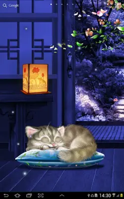 Sleepy Cat Live Wallpaper android App screenshot 0